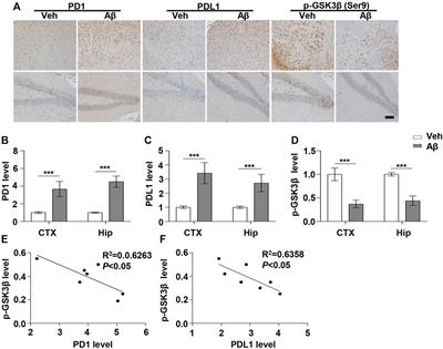 Programmed Cell Death Protein 1 Blockade Reduces Glycogen Synthase Kinase 3β Activity and Tau Hyperphosphorylation in Alzheimer’s Disease Mouse Models